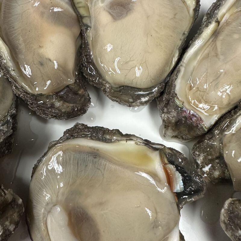 Oyster Half Dozen