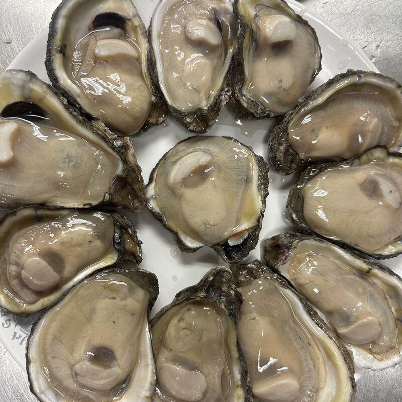 Oyster One Dozen